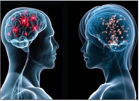 5月2号，医药经济报上发表了关于陈春麟博士的报道——CRO的中国式崛起路径