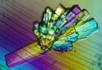 PD-1抑制剂成“抗癌神器”，国内外企业进展如何？