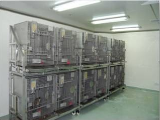 不朽情缘mg官网猴房