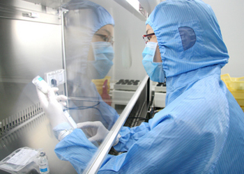 BE试验：如何提升试验成功率