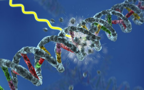 Nature：癌症治疗发现新靶点