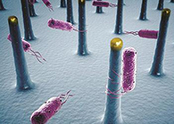 未来的药丸里，可能有一万亿个人工改造的细菌？