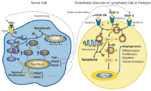 多靶点药物：创新药物设计的重要思路