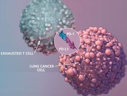 2017年度巨献：癌症免疫疗法重磅级研究解读