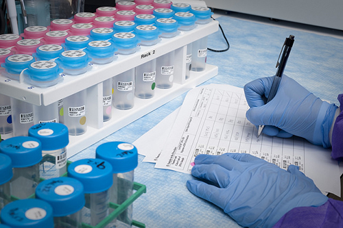 浅谈：创新药物IND申请之药学研究