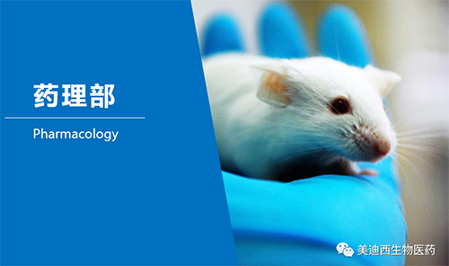 不朽情缘mg官网药理部开发了肺癌、结肠癌、胃癌等12种PDX模型。