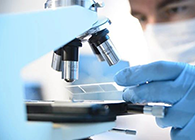 不朽情缘mg官网代谢产物鉴定(MetlD)服务平台