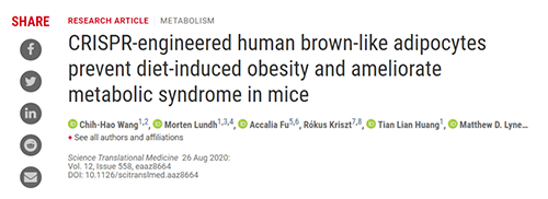 Science|聚焦CRISPR：改造脂肪细胞，“躺瘦”可能要成真了？