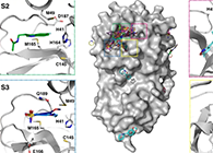 【Nature子刊】国际团队联合力量，加速基于COVID-19结构的药物设计！