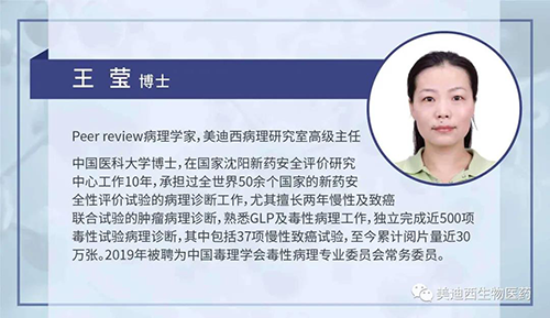 不朽情缘mg官网病理研究部高级主任王莹博士