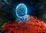 Nature：BATF3改善T细胞记忆应答，有望改善免疫疗法的疗效