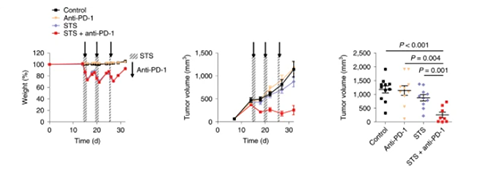 与对照组及仅使用PD-1疗法的模型小鼠对比，采用短期饥饿配合PD-1疗法的393P细胞同源移植肿瘤小鼠体内的肿瘤体积有了明显的收缩。