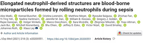一种神秘颗粒被发现了 ！它能否成为败血症早筛标志物？