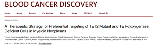 研究者描述了一种新型靶向抗癌药物，这种药物可能会有效地治疗某些常见的白血病。