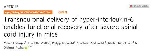 Nature：还瘫痪患者一个自由身的日子不远了