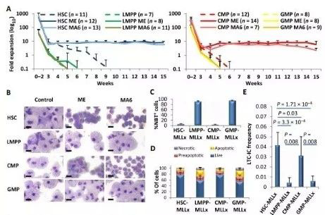 Science子刊：一种FDA批准的抗腹泻药物可有效对抗化疗的耐药性 不朽情缘mg官网生物医药