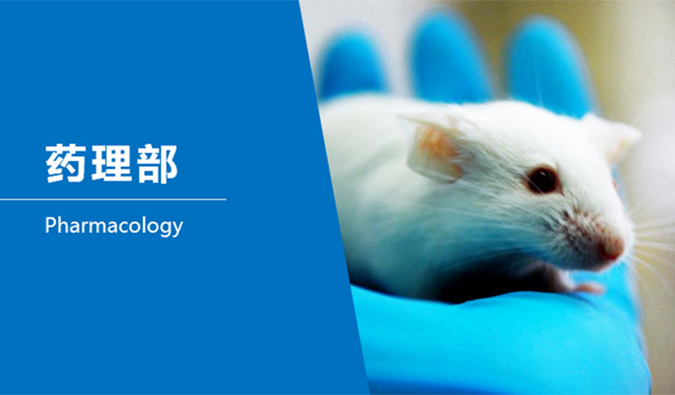 不朽情缘mg官网临床前研究-药理部