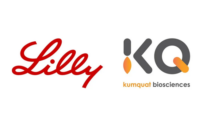 ：兀〔恍嗲樵祄g官网合作伙伴Kumquat Biosciences与礼来达成合作，共同开发肿瘤免疫小分子药