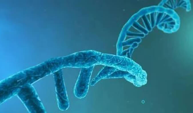 美研丨寡核苷酸药物市场前景、发展挑战及应对策略