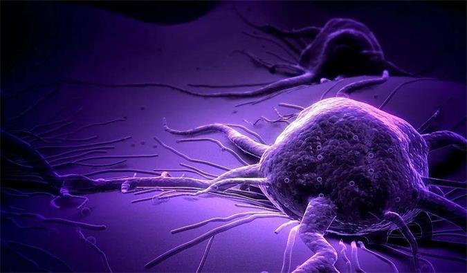 不朽情缘mg官网助力轩竹生物研发的完全敲除岩藻糖的双抗ADC药物KM501获批临床