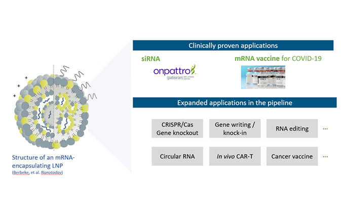 【专家报告】张翼博士：阳离子脂质高通量定制化筛选
