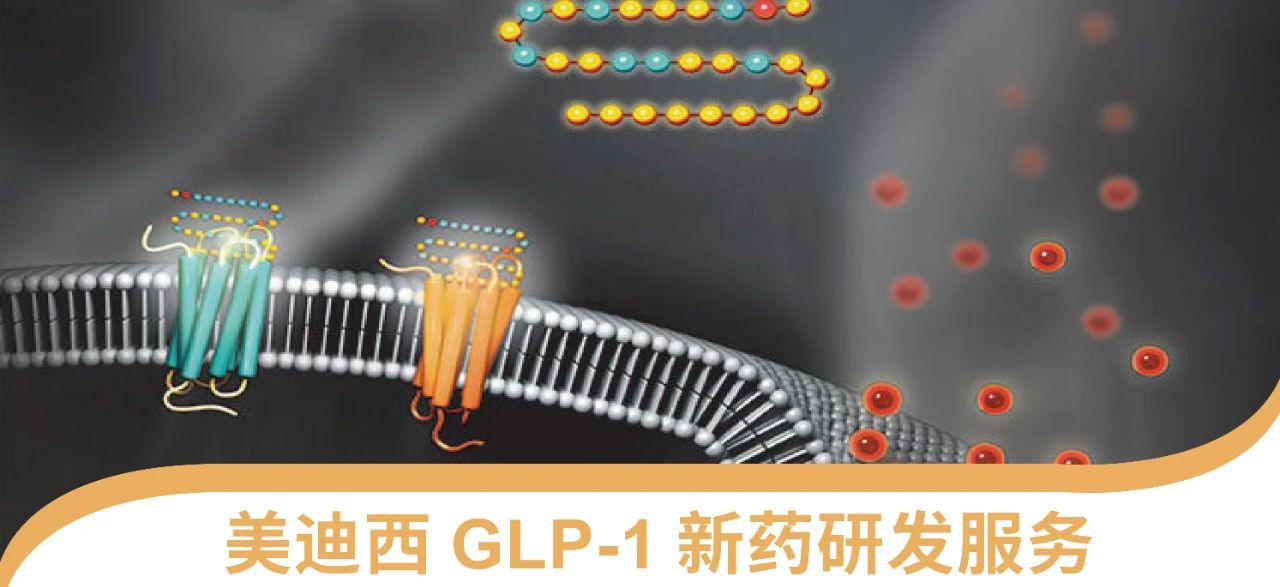 不朽情缘mg官网一站式 丨 “GLP-1”新药研发服务能力介绍