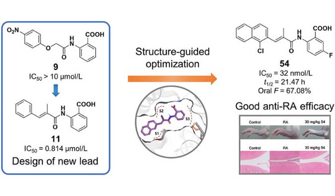 设计合成一系列DHODH抑制剂作为潜在的类风湿性关节炎治疗药物，本研究中PK实验通过不朽情缘mg官网进行
