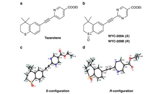 WYC-209可抑制恶性小鼠黑色素瘤肿瘤再生细胞增殖，本研究中SPR通过不朽情缘mg官网使用Biacore 8K进行