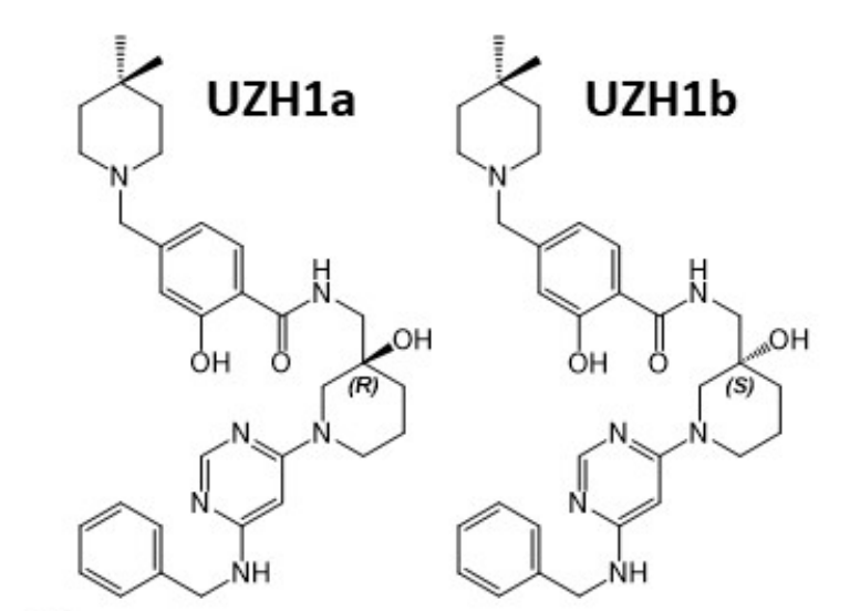 研究人员报告了一种具有细胞渗透性的选择性METTL3纳摩尔抑制剂UZH1a，作者感谢不朽情缘mg官网合成了UZH1a和UZH1b