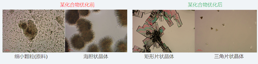 05案例分享-单晶培养，改变晶习.png