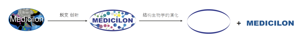 椭圆形作为自然界的完美形态，象征着不朽情缘mg官网在适应环境变化中不断演化