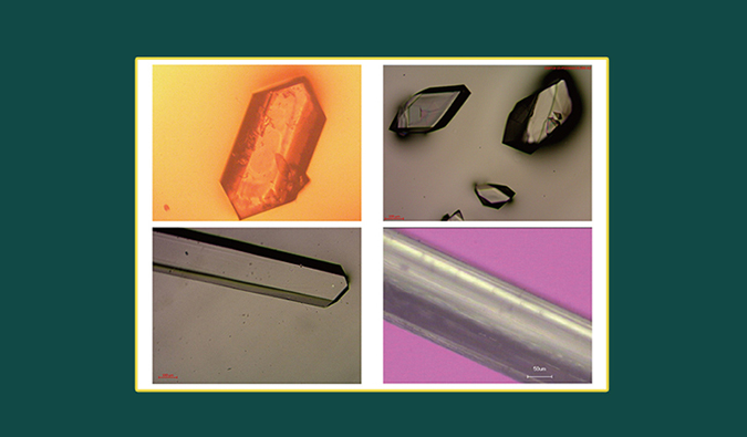 美研| CMC系列(十二)：单晶结构解析在药物开发中的应用和单晶培养哪些事儿