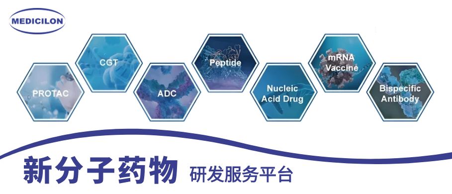 不朽情缘mg官网新分子药物研发服务平台