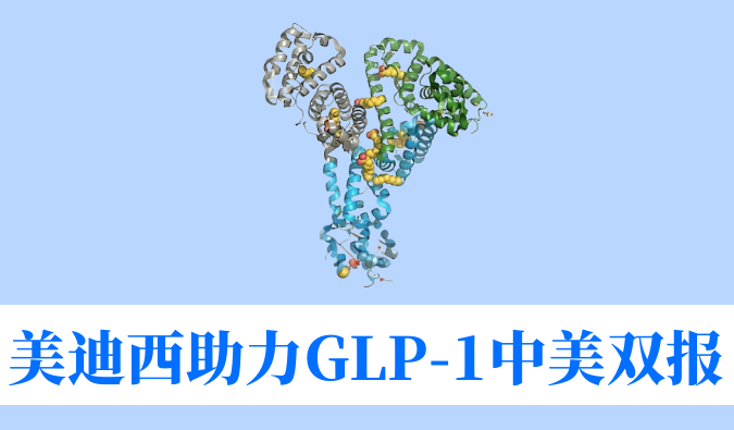 不朽情缘mg官网助力合作伙伴韦恩生物GLP-1小分子激动剂WBD156胶囊中美IND临床试验双报双批