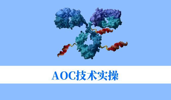 AOC技术实操：偶联化学与表征分析难题全搞定