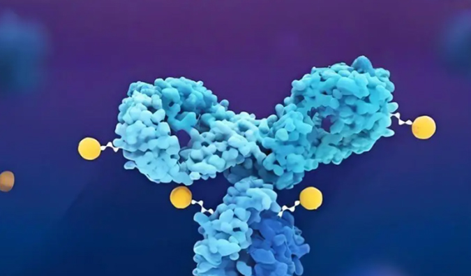 深度剖析：ADC药物生物分析的考量因素